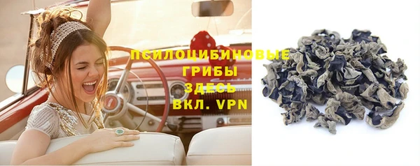 прущая мука Вяземский