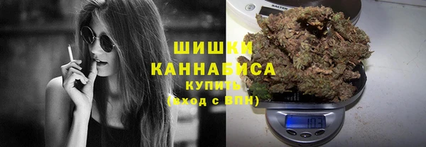 прущая мука Вяземский