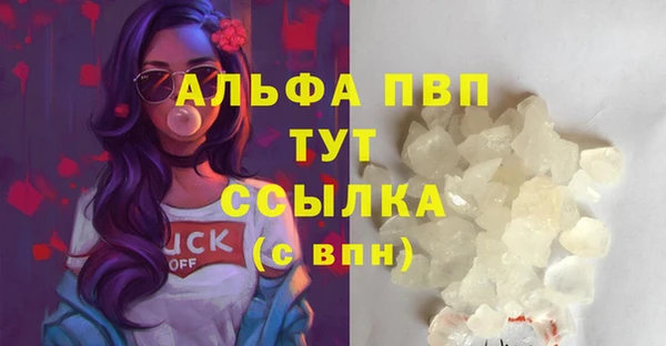 прущая мука Вяземский