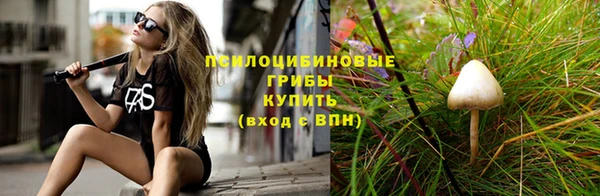 дмт Вязьма