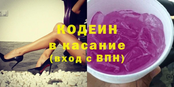 прущая мука Вяземский
