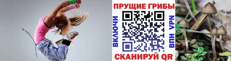 где можно купить наркотик  Железногорск  Псилоцибиновые грибы MAGIC MUSHROOMS 